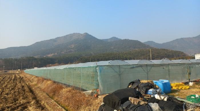 본건 및 제시외