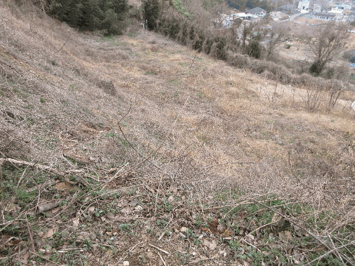 2025타경21012