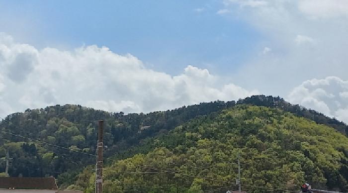 본건 전경