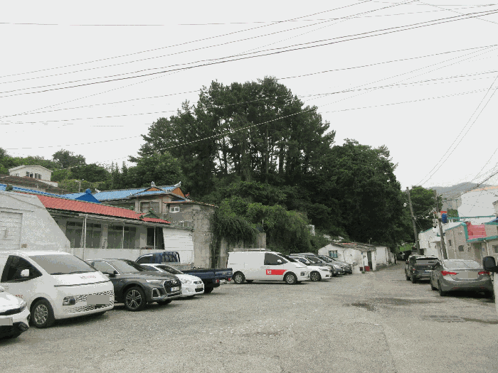 2025타경21255