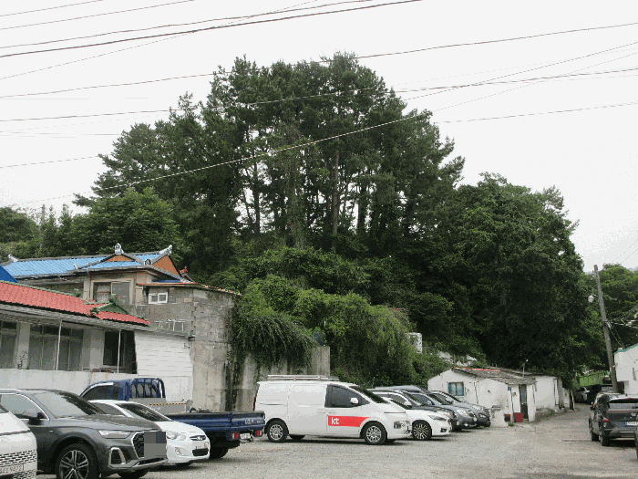 2025타경21255