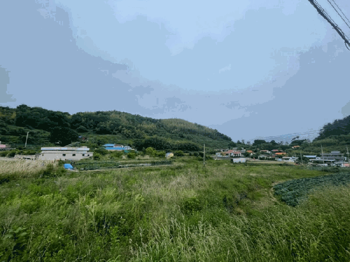 2025타경21354[1]