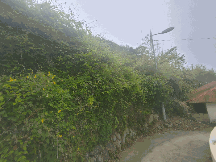 기호 1 토지전경