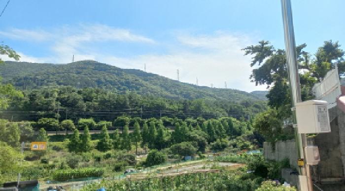 2025타경21529