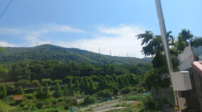 2025타경21529