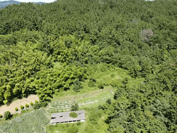 1.본건전경(남서측상공)