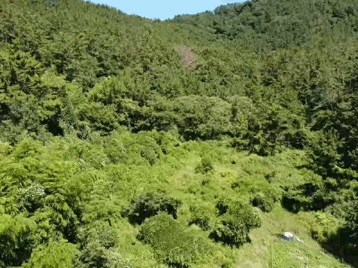 5.본건2전경(서측상공)