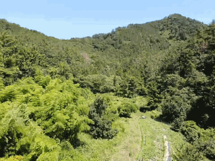 6.본건2전경(서측상공)