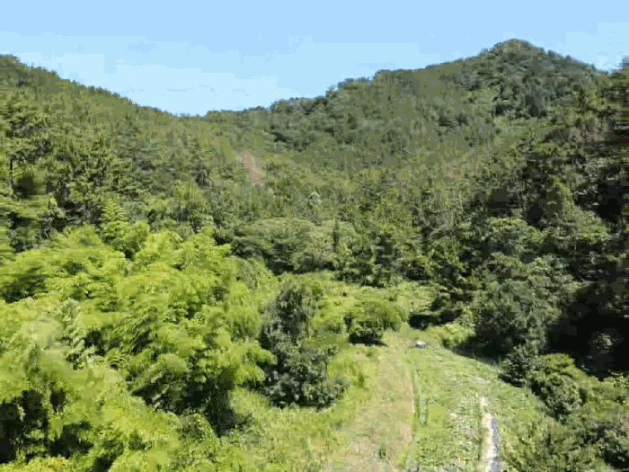 2.본건전경(서측상공)