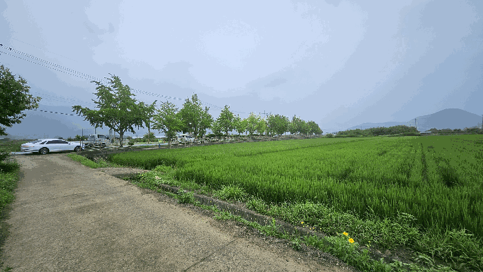 2025타경21724