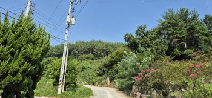 본건