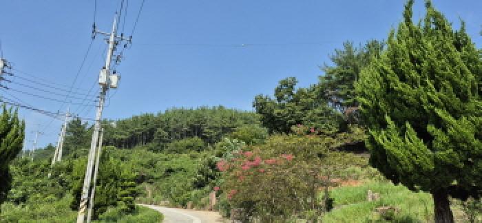 본건