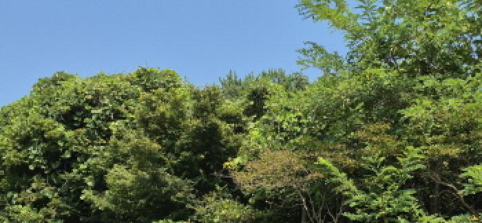 본건