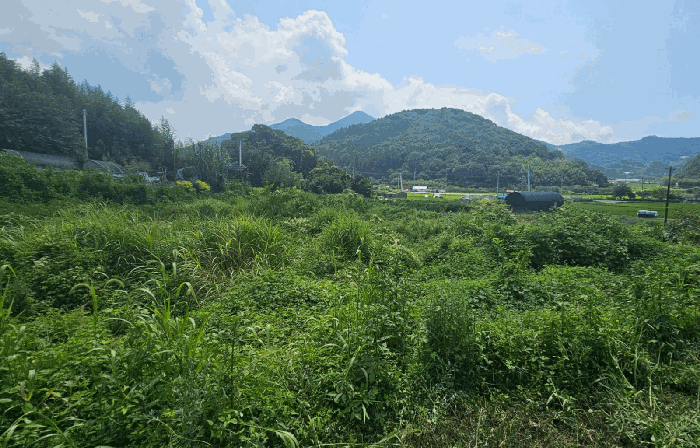 본건