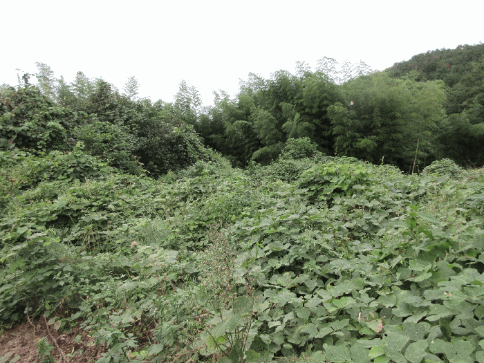 【 본 건 기호 1) 】