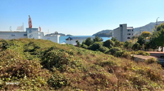 전체 전경