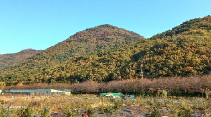 전체 전경