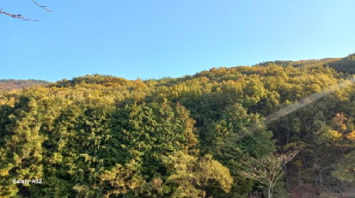 목록 6