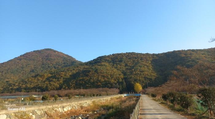 전체 전경