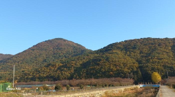 전체 전경