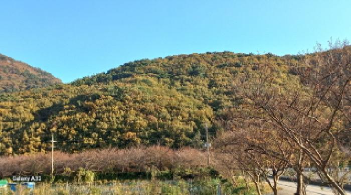 전체 전경