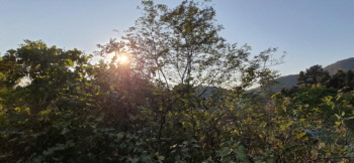 목록 1