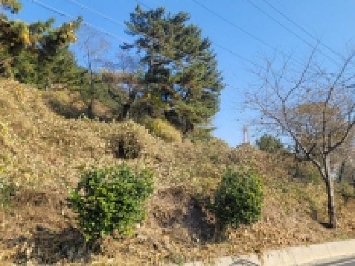 2025타경22182