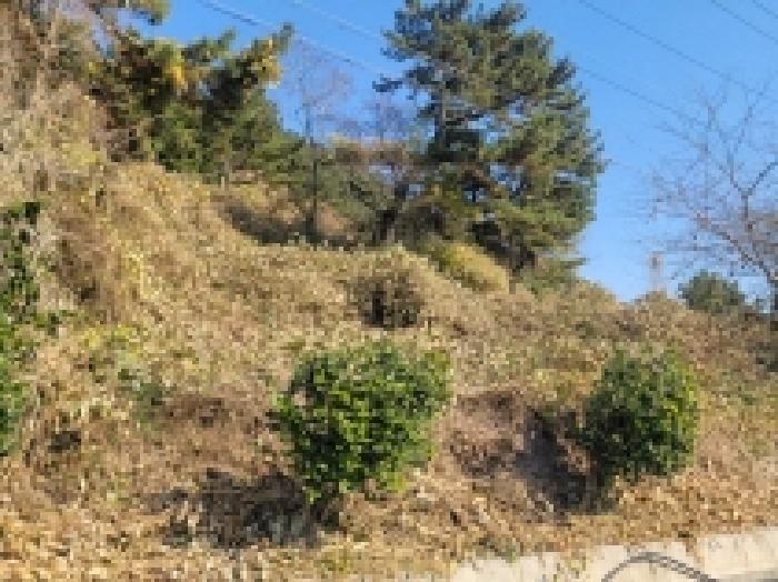 2025타경22182