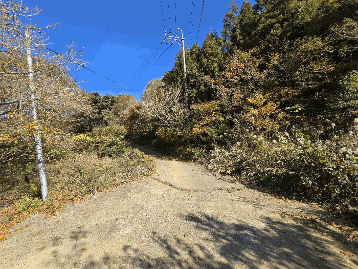 【본건 남측 접근도로 전경】