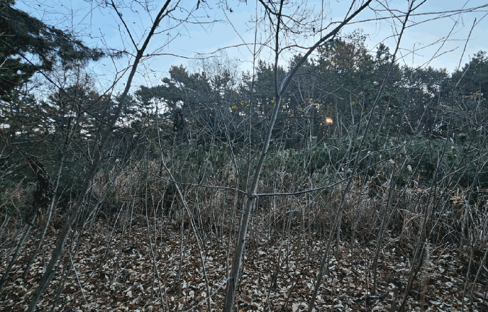 일련번호 6