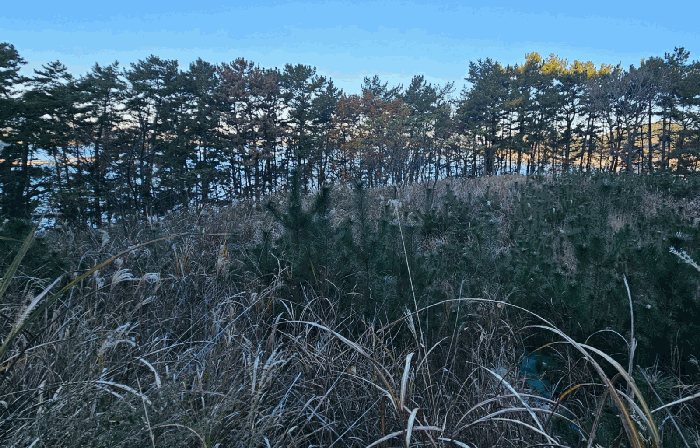 일련번호 7