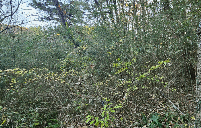 일련번호 15