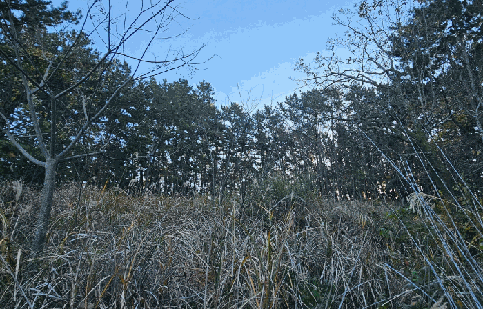 일련번호 8