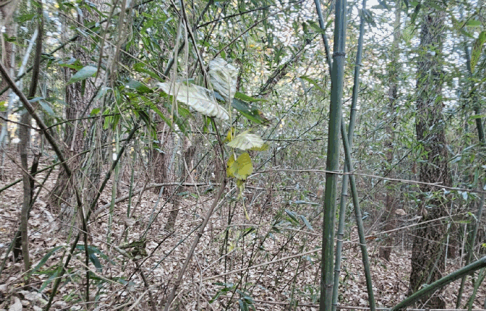 일련번호 9