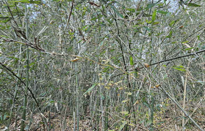 일련번호 13