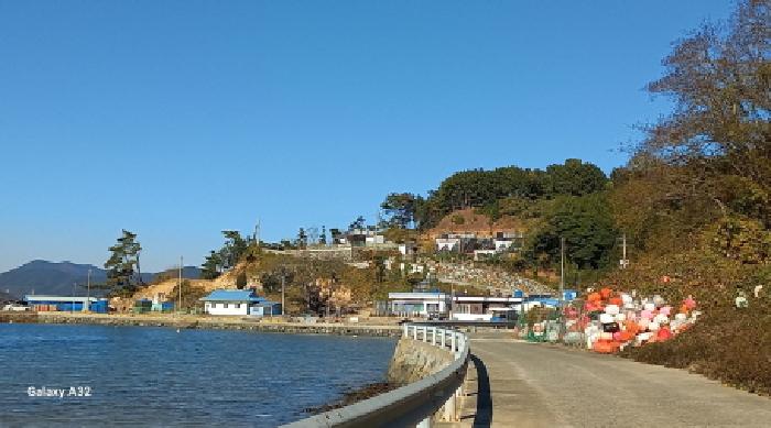 전체 전경