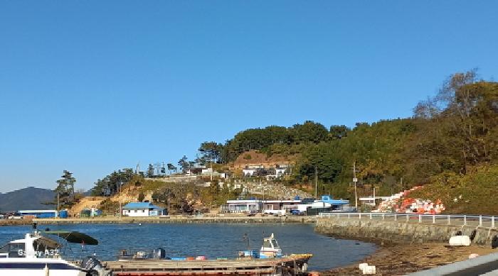 전체 전경