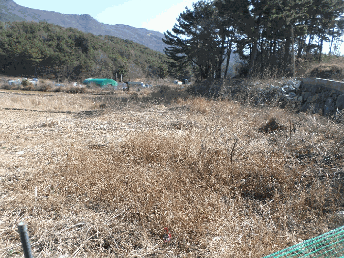 일련번호 2