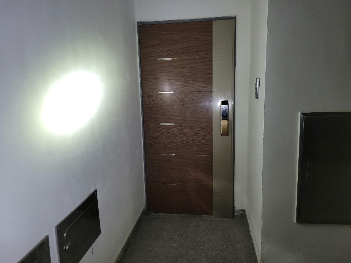 본건 기호 (11)