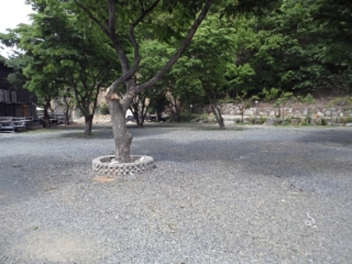 본건 전경