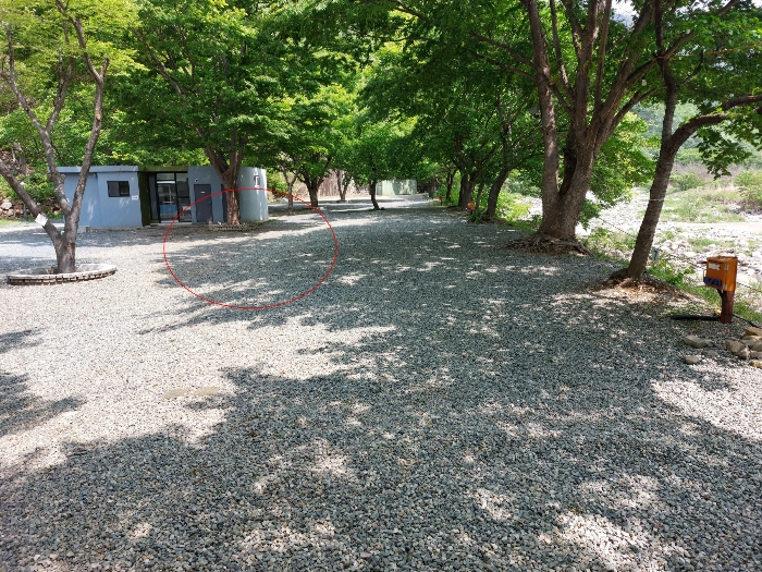 경상남도 밀양시 단장면 구천리 530-2
(일련번호 8 토지)