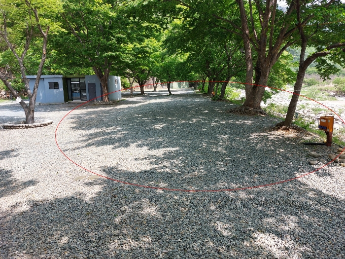 경상남도 밀양시 단장면 구천리 529-1
(일련번호 5 토지)