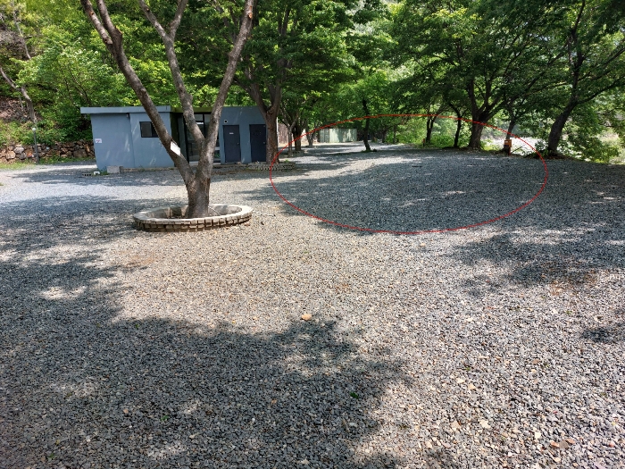 경상남도 밀양시 단장면 구천리 530-1
(일련번호 7 토지)