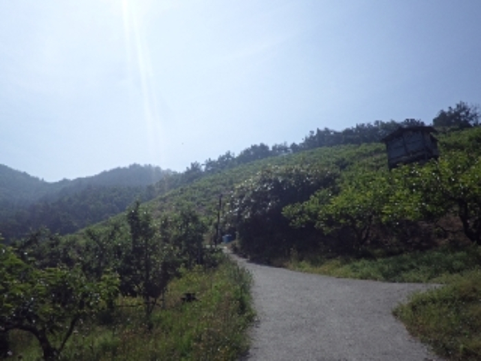 동산리 산102 전경