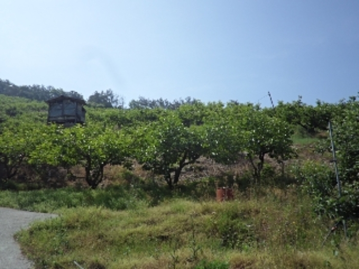 동산리 산102 전경
