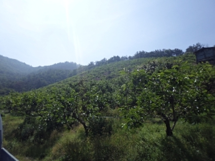 동산리 산102 전경