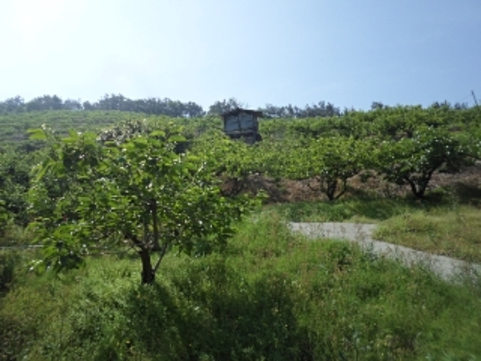동산리 산102 전경