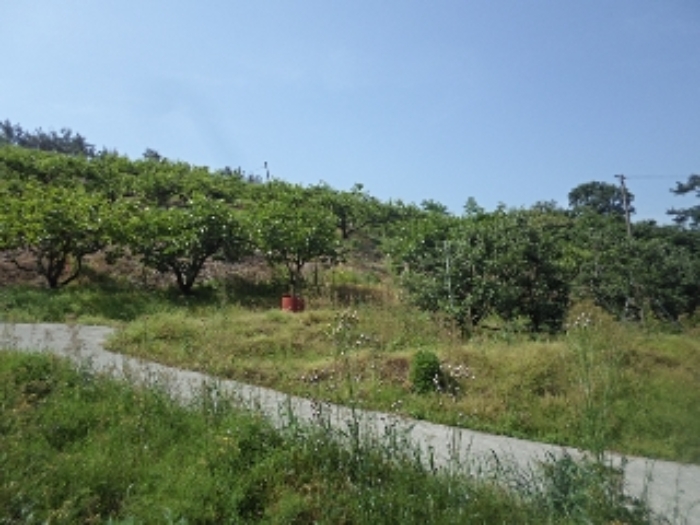 동산리 산102 전경