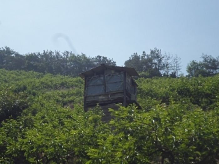 동산리 산102 지상 제시외 창고 전경