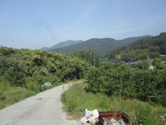 동산리1026-1외 전경